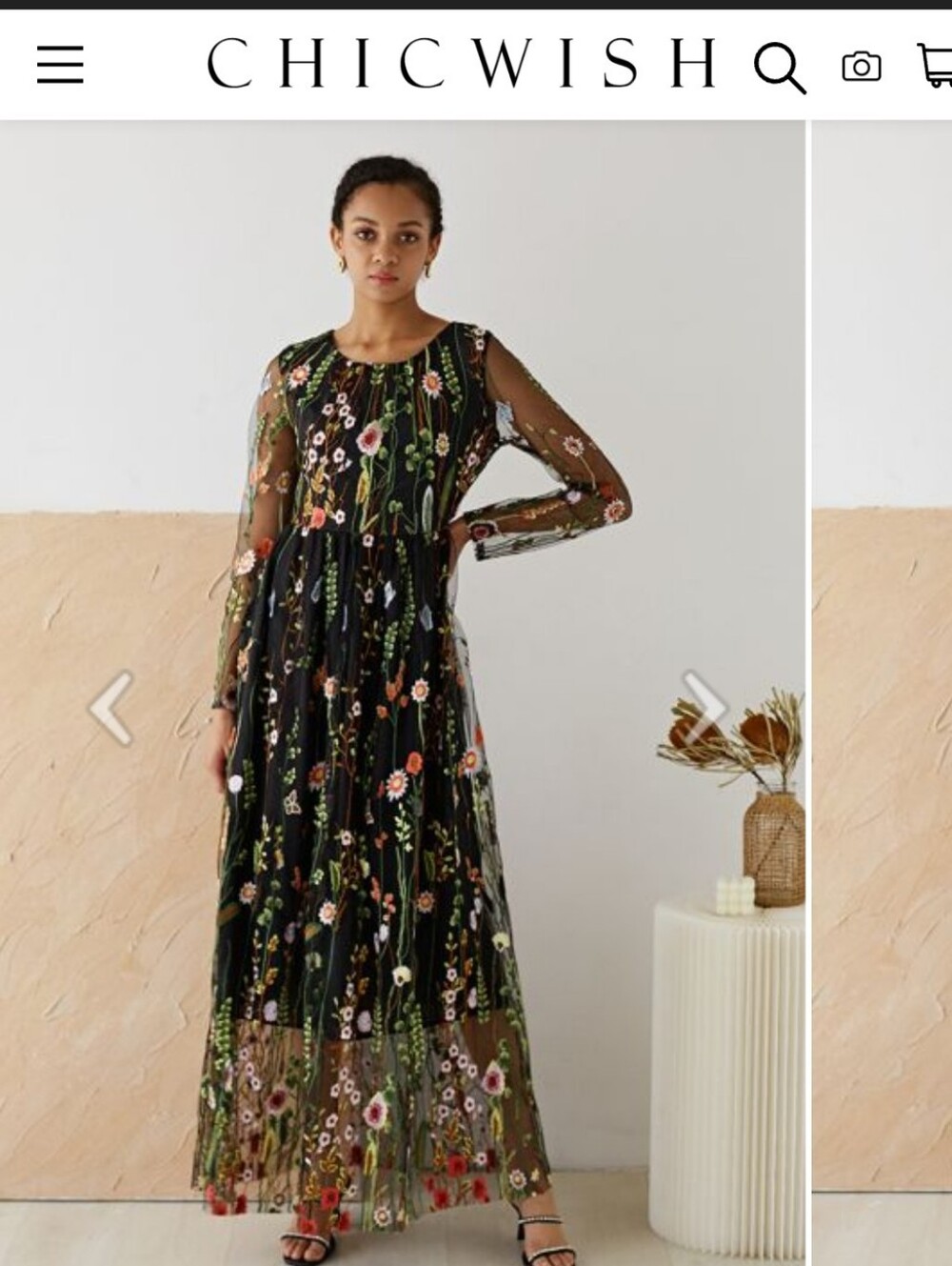 Chicwish Embroidered Mesh Maxi Dress